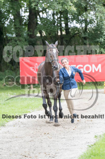 FEI European Championship