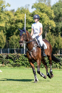 Kronenberg - De Peelbergen (August 2020)