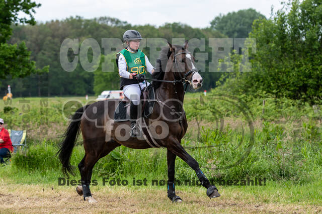 Westerstede Horse Trials (10.-13.06.2021)