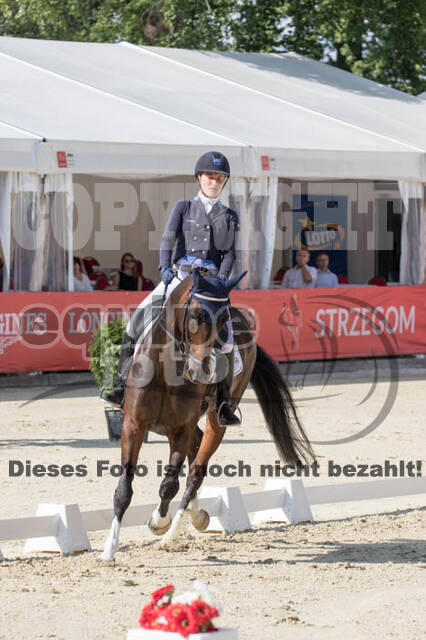 FEI European Championship Eventing 2017