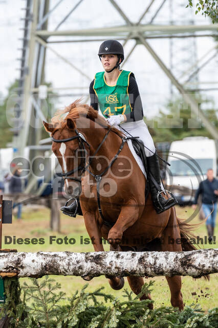 Vielseitigkeit RSV Wesel Obrighoven (26.+27.09.2020)