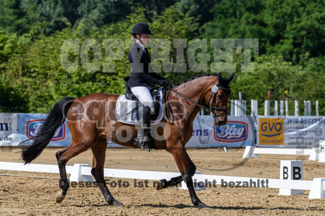 Westerstede Horse Trials 2021