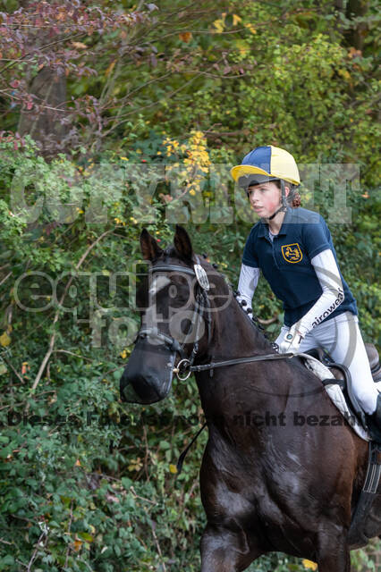 Goldene Schärpe 2020 - Pferde