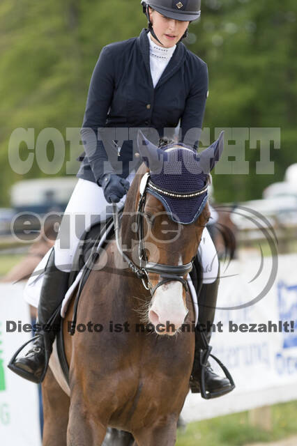 Sterne über Münster 2019 - CCI***S