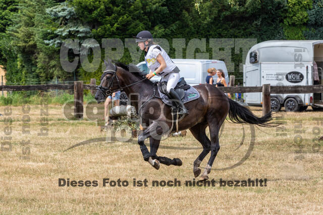 Late-Entry Vielseitigkeit Hamminkeln/Wesel (01.+02.08.2020)