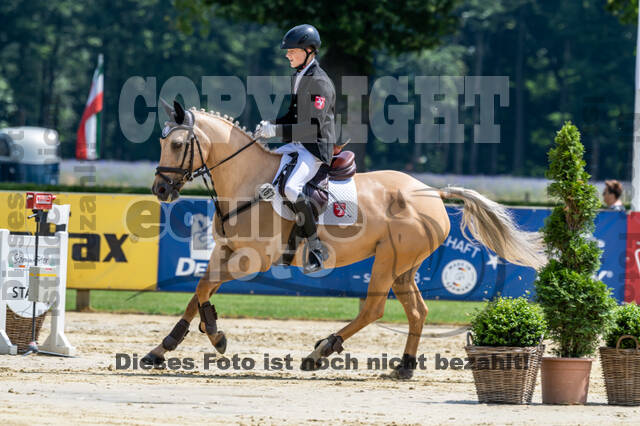 Goldene Schärpe 2021 - Ponys