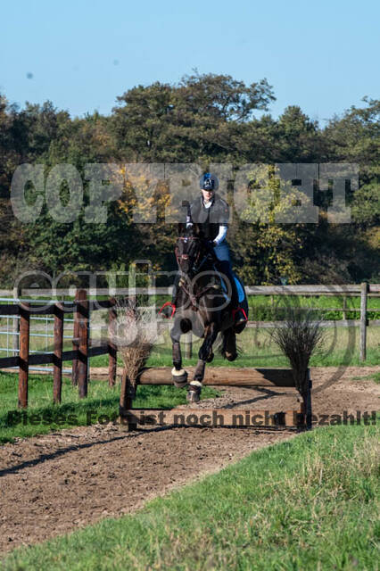 Vielseitigkeitslehrgang mit Jürg Kurbel (9.+10.11.2019)