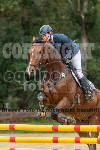 Vielseitigkeit RSV Wesel Obrighoven (26.+27.09.2020)