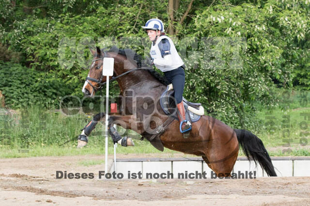 Vielseitigkeitsturnier ZRFV von Lützow Hamminkeln