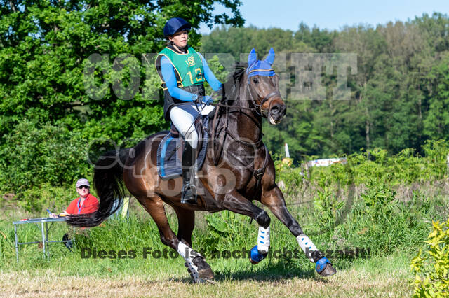 Westerstede Horse Trials (10.-13.06.2021)