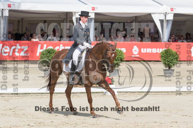 FEI European Championship Eventing 2017