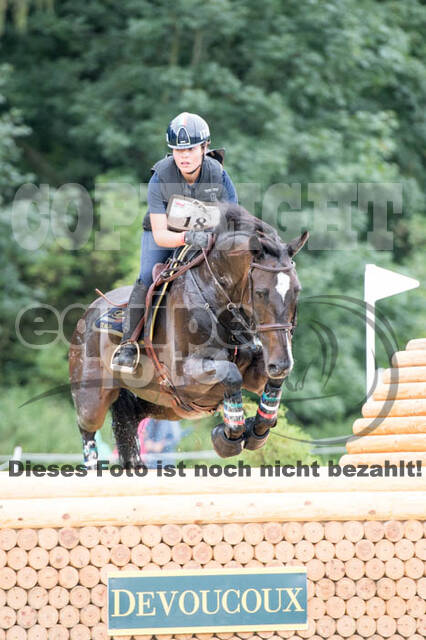 FEI European Championship