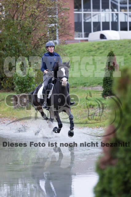 IGV Lehrgang der Sieger der Cups mit Frank Ostholt