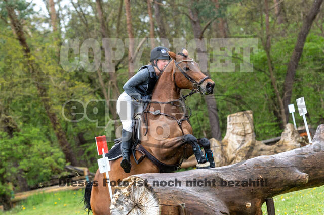 Geländepferdetag beim ZRFV von Lützow Hamminkeln (08.05.2021)