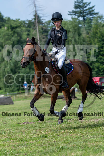 Goldene Schärpe 2021 - Ponys