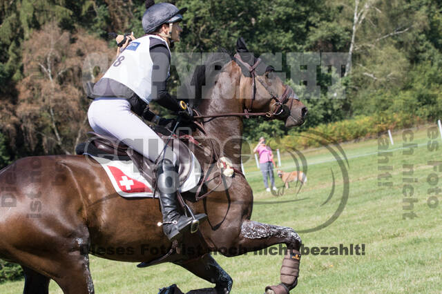 FEI European Championship Eventing 2019