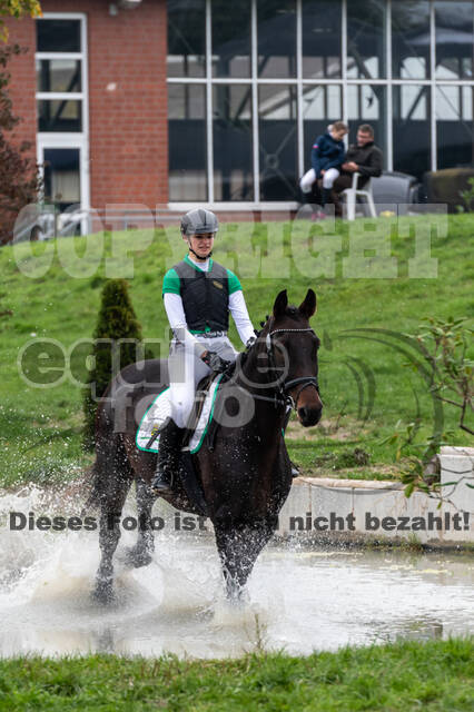 Goldene Schärpe 2020 - Pferde
