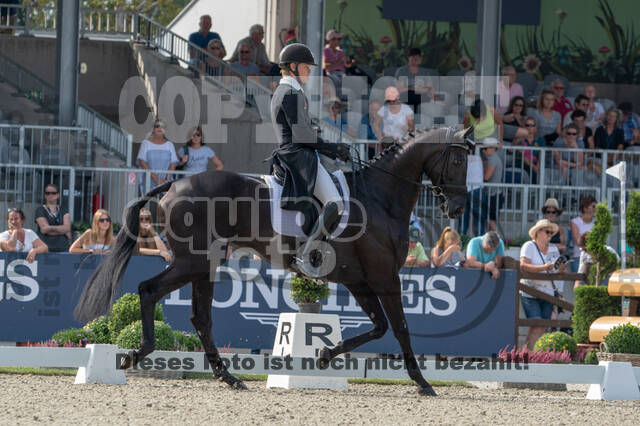 FEI European Championship Eventing 2019