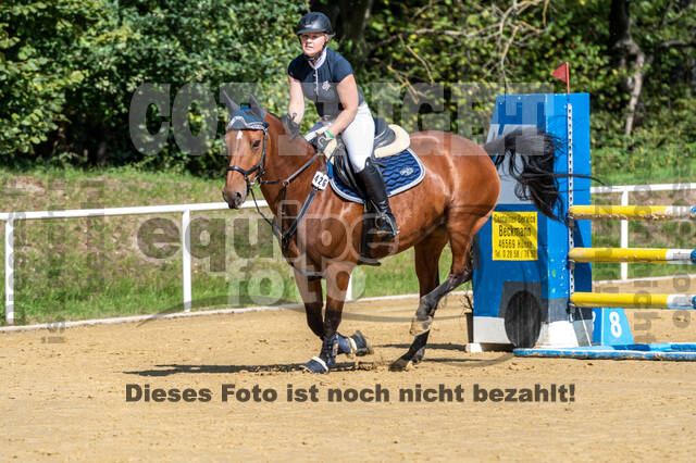 RFV Dinslaken-Hiesfeld (Herbstturnier)