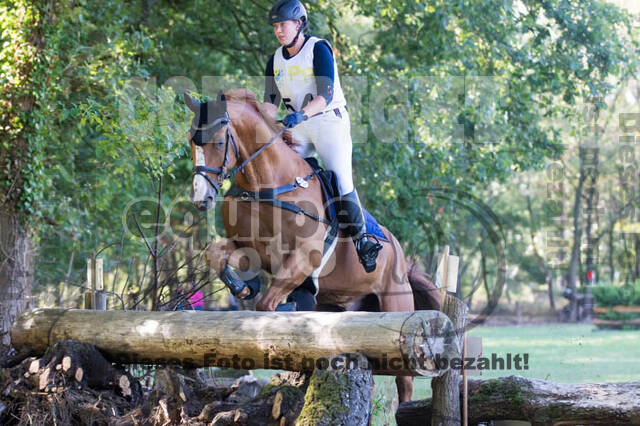 Vielseitigkeitsturnier RSV St. Hubertus Wesel Obrighoven