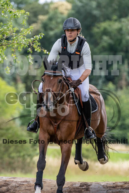 Bonn-Rodderberg Late-Entry-Vielseitigkeit (30.06.2020)