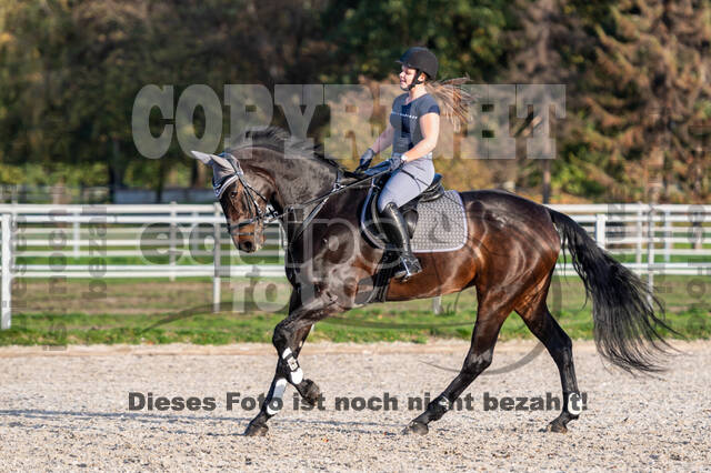IGV Lehrgang der Sieger der Cups mit Frank Ostholt
