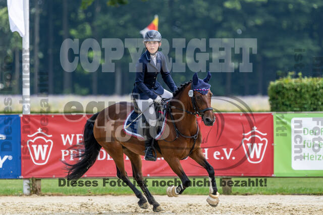 Goldene Schärpe 2021 - Ponys