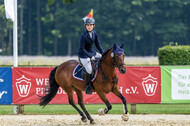 Goldene Schärpe 2021 - Ponys
