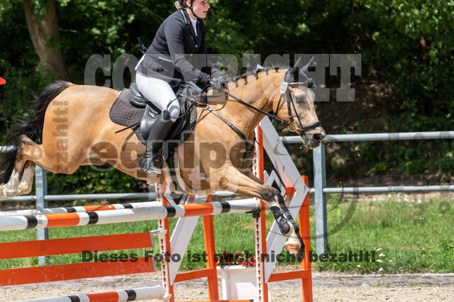 Late-Entry-Vielseitigkeit Langenfeld (06.+07.07.2020)