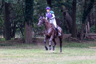 Late-Entry Vielseitigkeit Hamminkeln/Wesel (01.+02.08.2020)