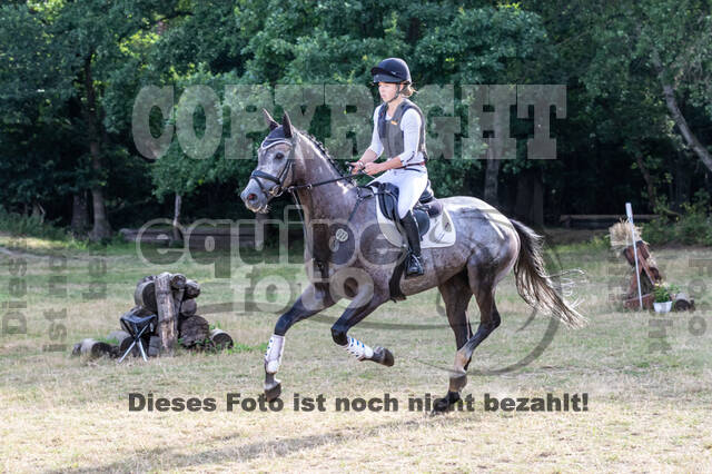 Late-Entry Vielseitigkeit Hamminkeln/Wesel (01.+02.08.2020)