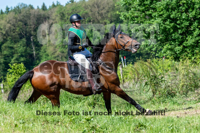 Westerstede Horse Trials (10.-13.06.2021)