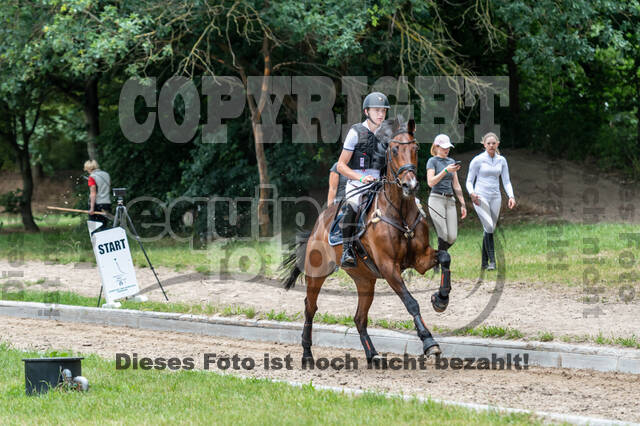 Late-Entry-Vielseitigkeit Langenfeld (11.+13./14.06.2020)