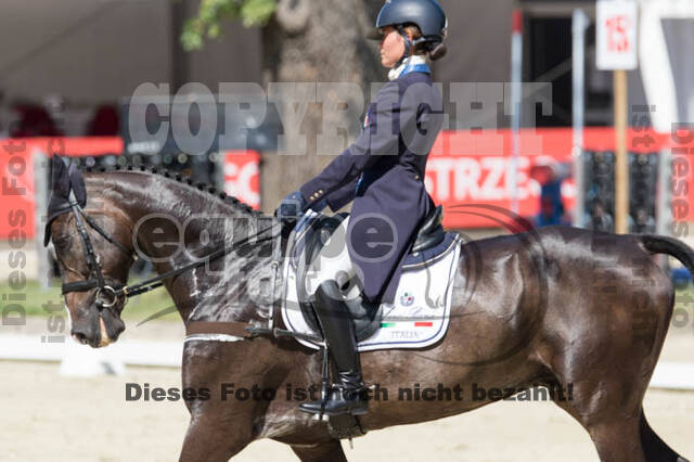 FEI European Championship