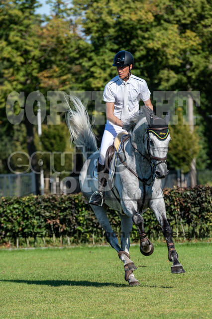 Kronenberg - De Peelbergen (August 2020)