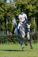 Kronenberg - De Peelbergen (August 2020)