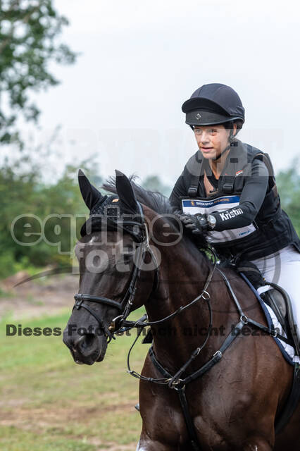 De Peelbergen (August 2020)