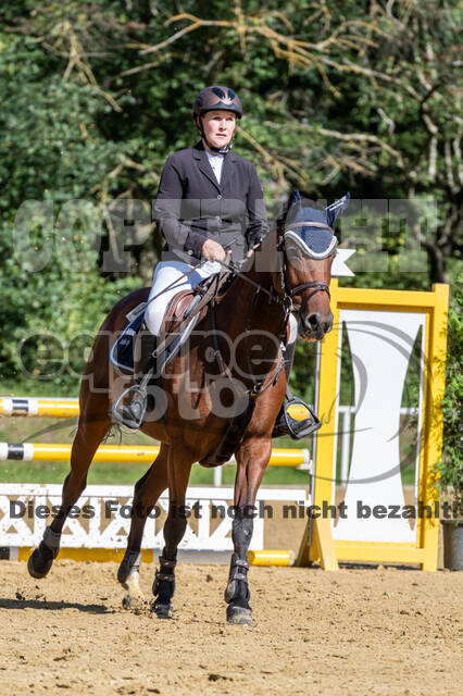 RFV Dinslaken-Hiesfeld (Herbstturnier)