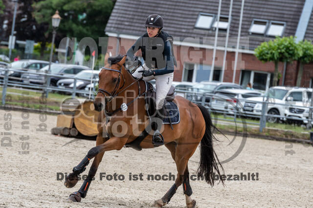 Late-Entry-Vielseitigkeit Langenfeld (11.+13./14.06.2020)