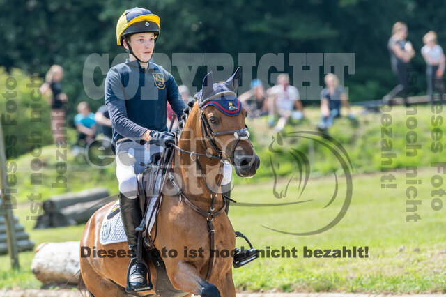 Goldene Schärpe 2021 - Ponys