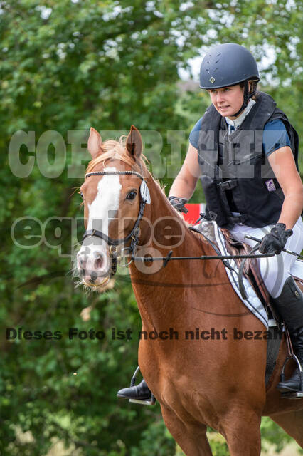 Bonn-Rodderberg Late-Entry-Vielseitigkeit (30.06.2020)