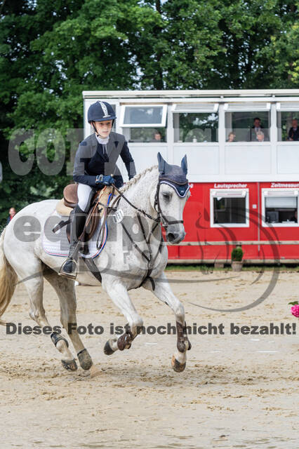 Goldene Schärpe 2021 - Ponys