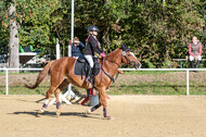 RFV Dinslaken-Hiesfeld (Herbstturnier)