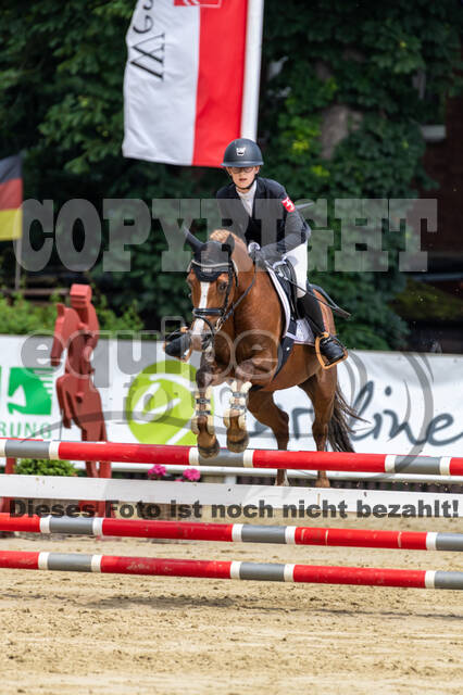 Goldene Schärpe 2021 - Ponys