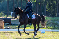Kronenberg - De Peelbergen (August 2020)