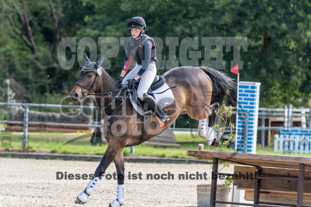 Late-Entry-Vielseitigkeit Langenfeld (11.+13./14.06.2020)