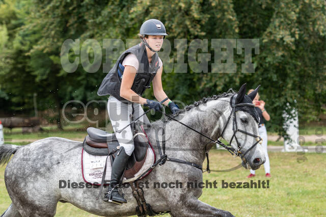 Late-Entry-Vielseitigkeit Langenfeld (11.+13./14.06.2020)