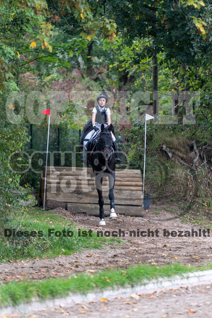 Goldene Schärpe 2020 - Pferde