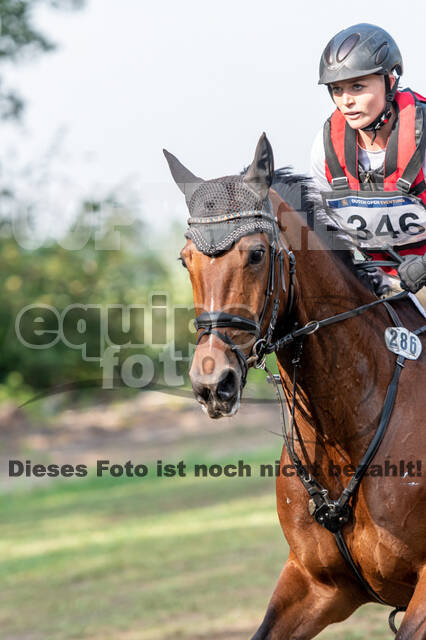 De Peelbergen (August 2020)