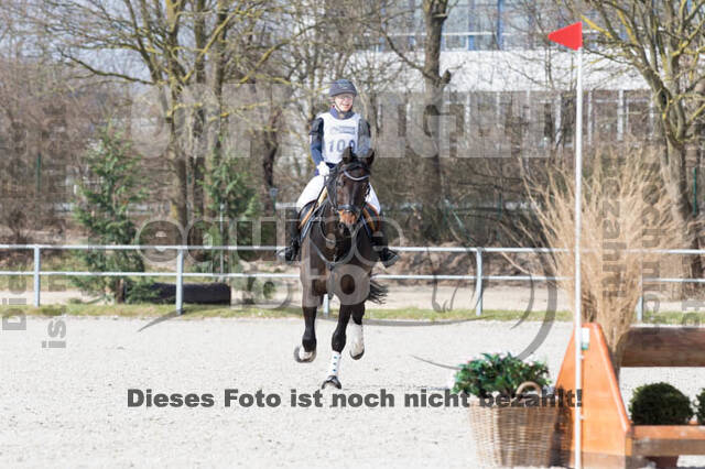 Eventing Langenfeld 2018